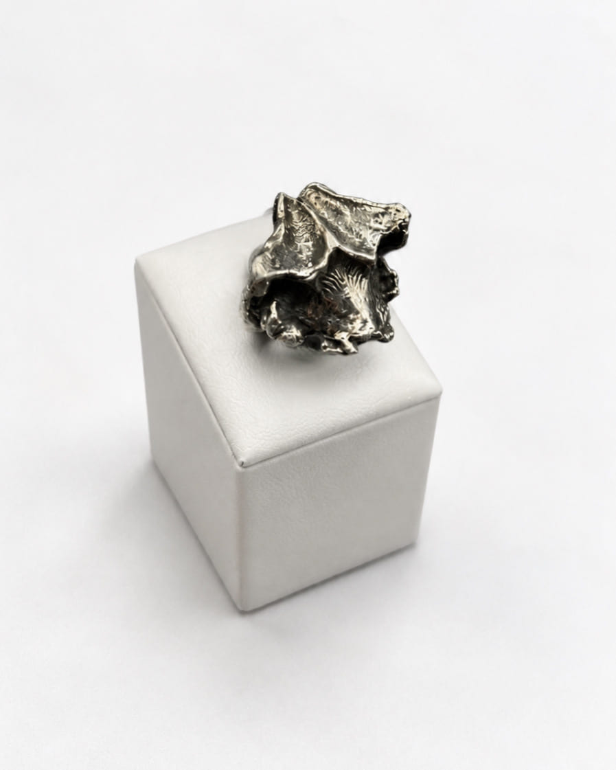 CRAB NEW — photo 1