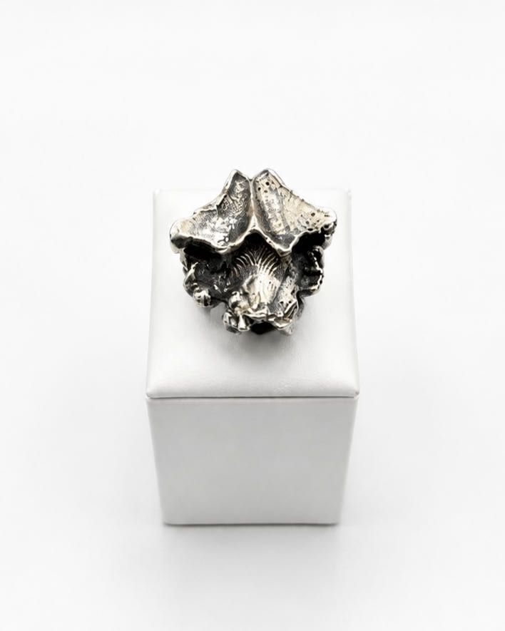 CRAB NEW — photo 2