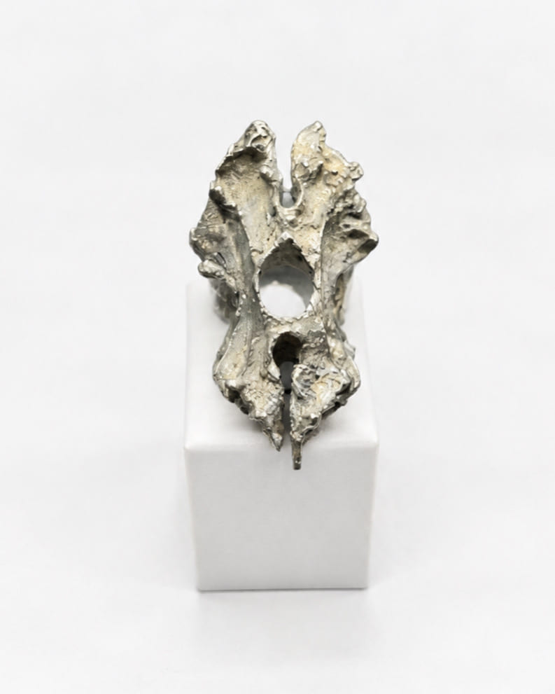 MORPHO NEW — photo 1