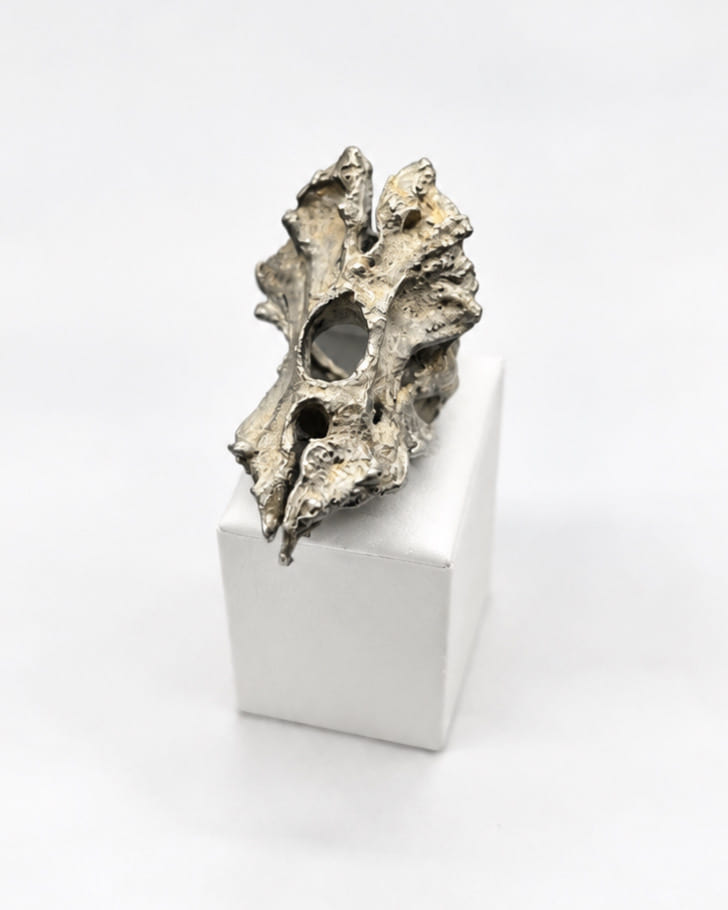 MORPHO NEW — photo 2