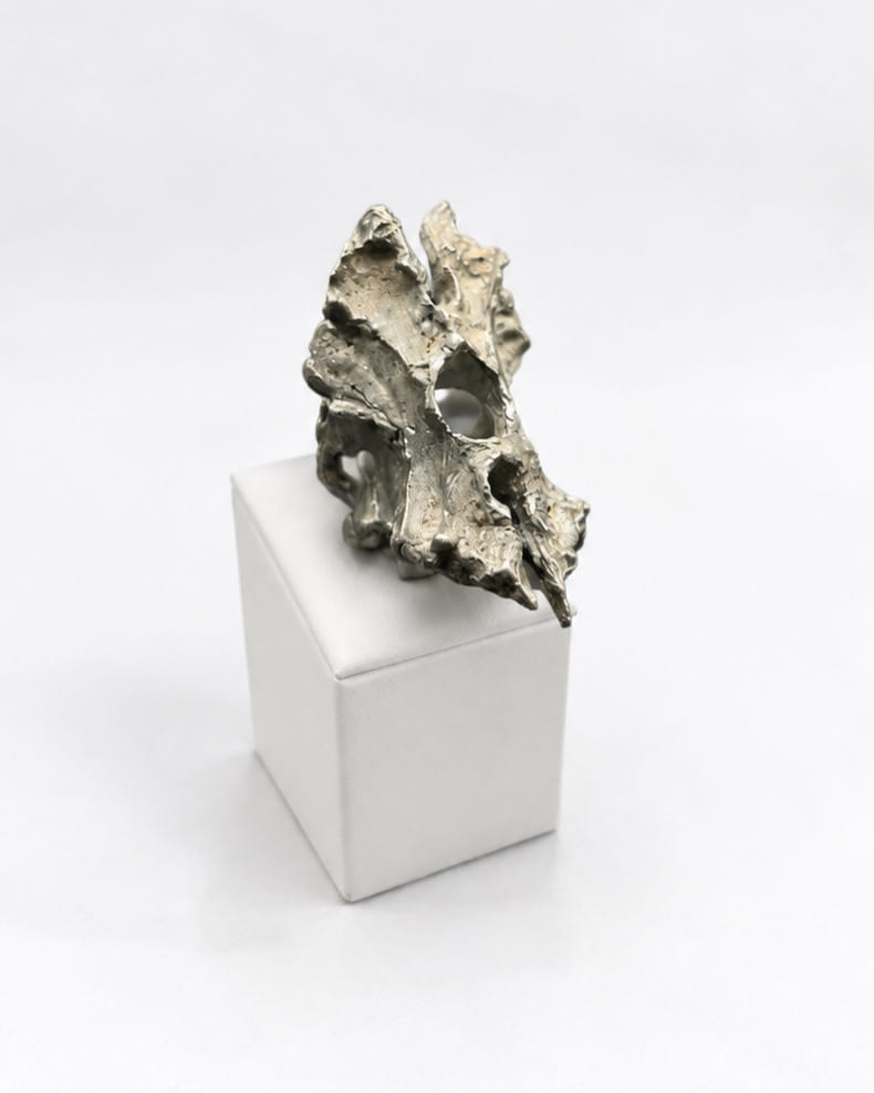 MORPHO NEW — photo 3
