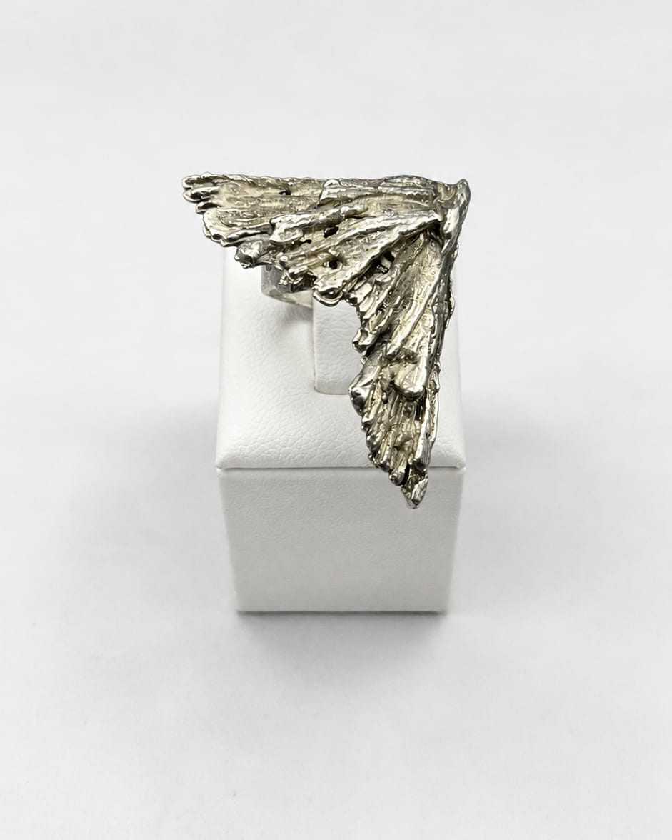 WING NEW — photo 1