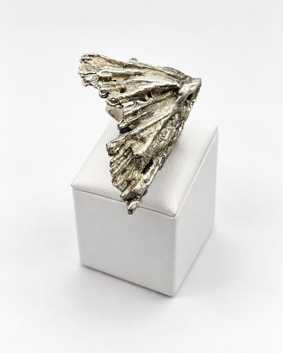 WING NEW — photo 3